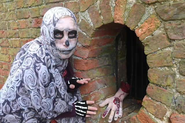 Offering a helping hand - Astrid Gatenby, Visitor Experience and Volunteering Manager at Gunby Hall.