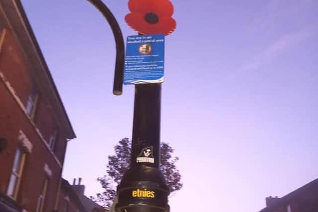 Members of the public can follow the poppy trail around Skegness.