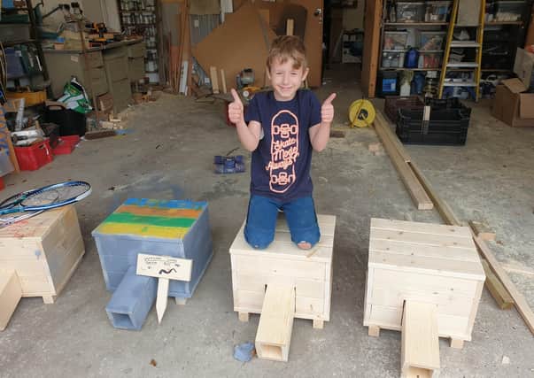 Nathaniel with his hedgehog homes