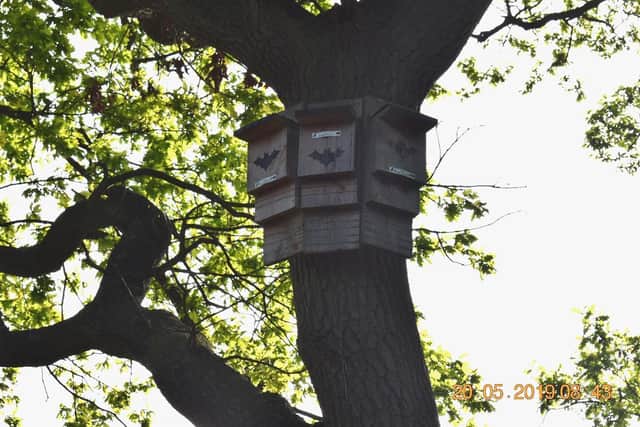 Nick Lawson's photo of Nick's installed bat boxes.