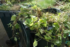 Green bins EMN-201011-164832001
