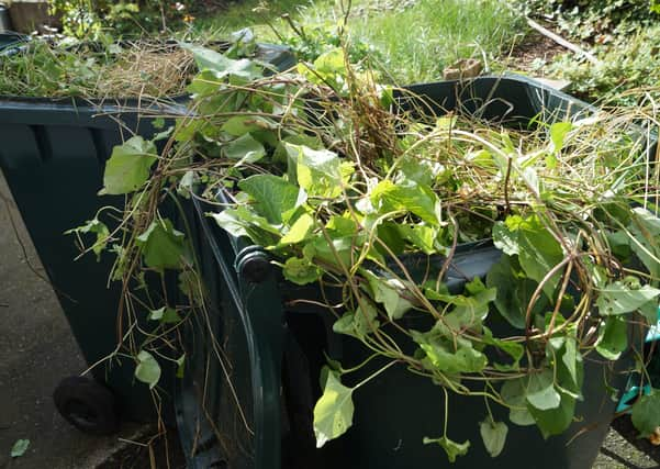 Green bins EMN-201011-164832001