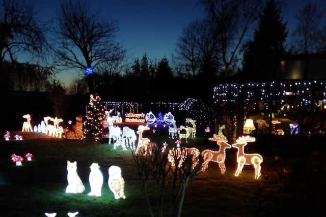 Part of last year's sensational display
Photo courtesy of Keith & Linda Tyler EMN-201119-130807001
