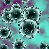 Surge in coronavirus cases