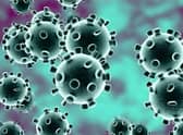 Surge in coronavirus cases