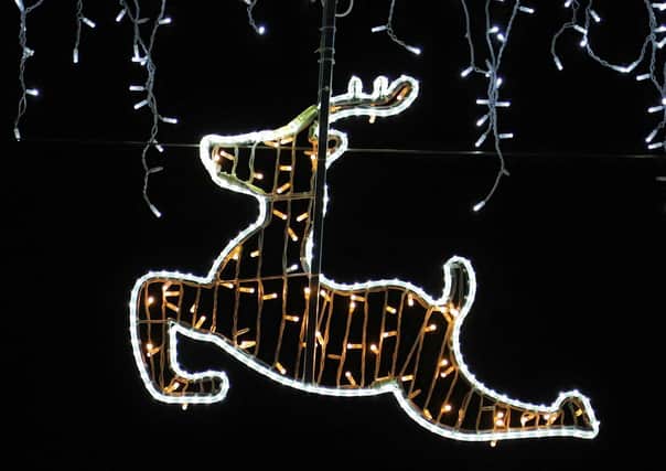 Christmas lights (stock image)