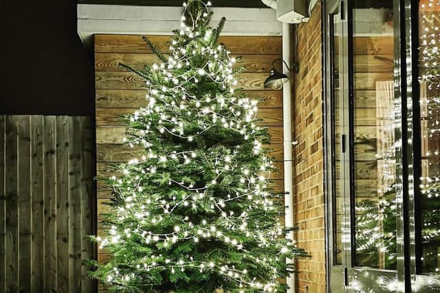 BEFORE: The original Christmas tree which was stolen overnight. (Photo: The Brown Cow)