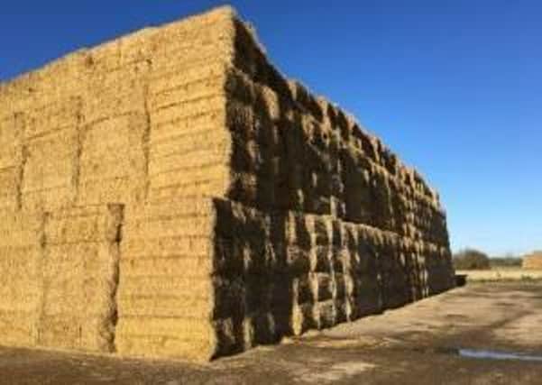 Energy plant bosses warn against climbing on huge straw storage stacks. EMN-200212-182527001