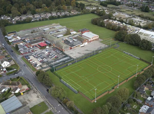 An artists' impression of how the pitch will look