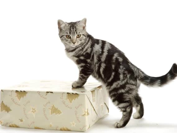Take care with leftover wrapping paper, which could be dangerous for pets.