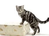Take care with leftover wrapping paper, which could be dangerous for pets.