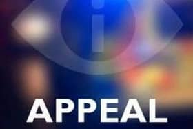 Witness appeal