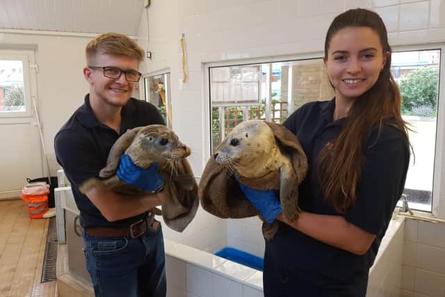 Matt and Daisy Yeadon, directors of Skegness Natureland.