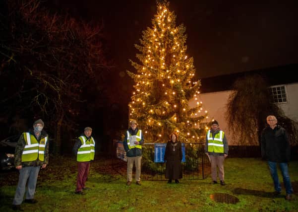 Horncastle Mayor Fiona Martin and members of the Tree of Light committee at the official switch on Photo John Aron Photography