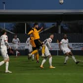 Bird soars in the Fylde box. Photo: Oliver Atkin.