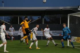 Bird soars in the Fylde box. Photo: Oliver Atkin.