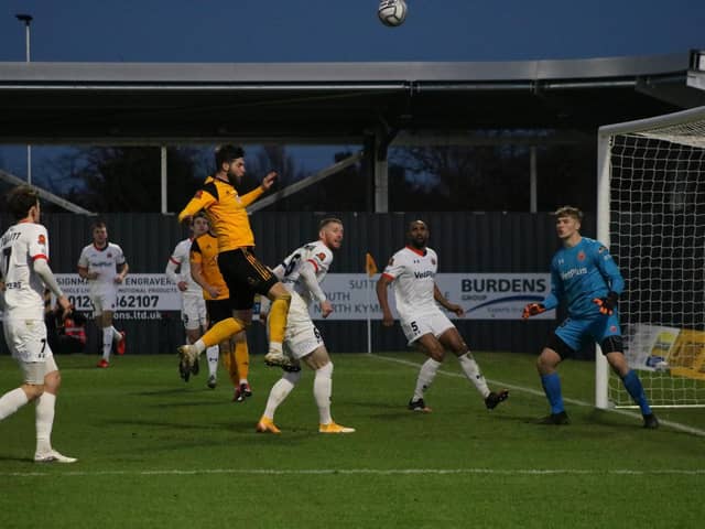 Bird soars in the Fylde box. Photo: Oliver Atkin.