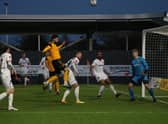 Bird soars in the Fylde box. Photo: Oliver Atkin.