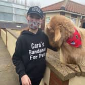 Henry, a rare breed Golden Guernsey Goat at Natureland,  giving Cara's bandanas the nod.