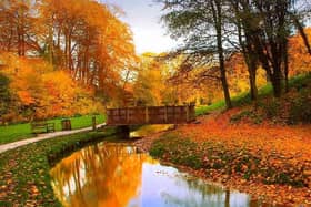 Hubbard's Hills (stock image)