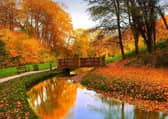 Hubbard's Hills (stock image)