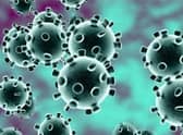 Coronavirus news