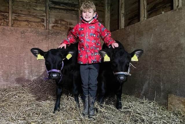Joe Trofer-Cook, of Billinghay, with his Christmas cows.