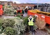 The St Barnabas Hospice treecycle will be back next year after having to cancel. EMN-210501-180130001