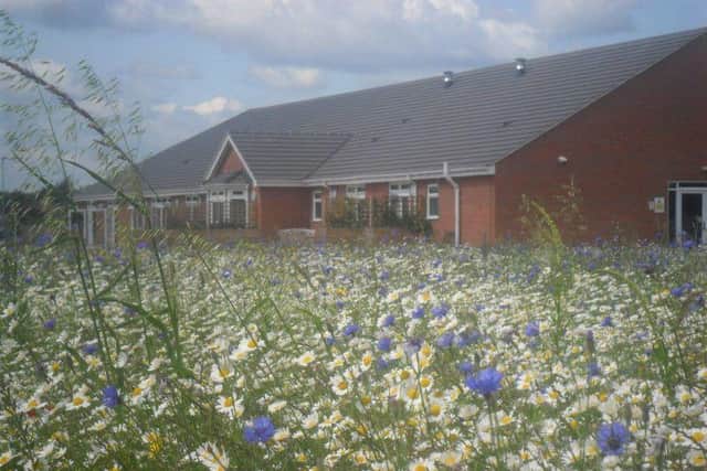 The Butterfly Hospice in Boston is re-opening.