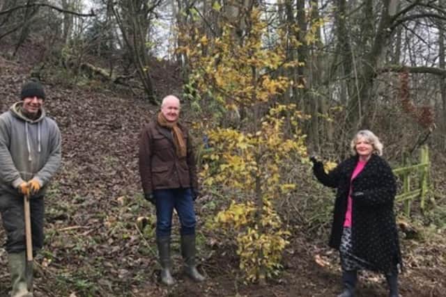 Hubbard’s Hills Trust Chairman Andrew Leonard (centre) takes stock of the new planting with Trust secretary Jill Makinson-Sanders and Contractor Michael Payne. EMN-210801-160752001