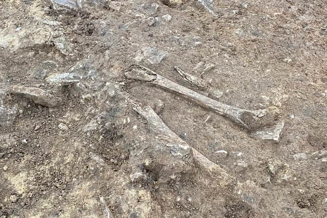 Some of the human bones uncovered during the Anglian Water pipeline excavations. EMN-210114-093129001