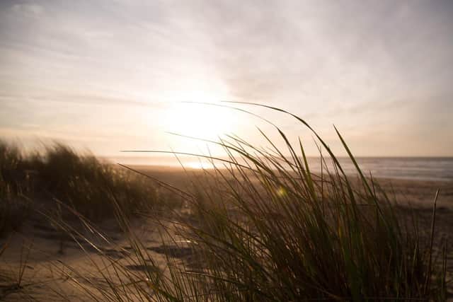 Sand dunes