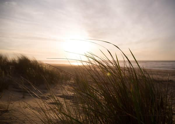 Sand dunes