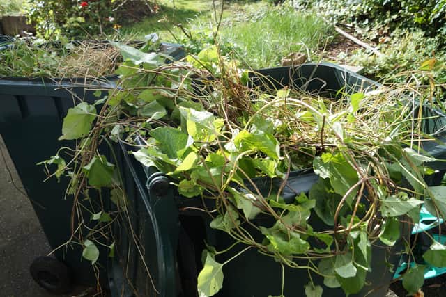 Green bins EMN-210127-084831001