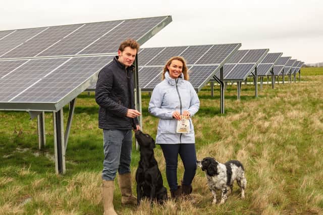 Tom and Rachel Grant, grandchildren to the founder of Fold Hill Foods Ltd, Ted Grant, at the site’s solar farm.