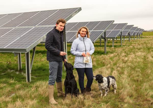 Tom and Rachel Grant, grandchildren to the founder of Fold Hill Foods Ltd, Ted Grant, at the site’s solar farm.