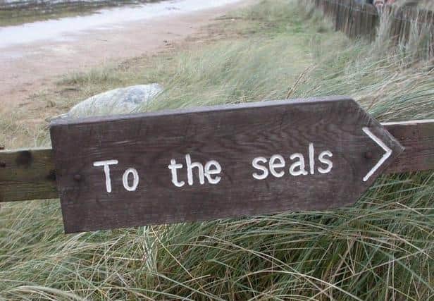 Donna Nook viewing area. (Lesley Robb/Lincolnshire Wildlife Trust)