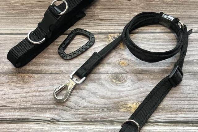 The theft deterrent dog lead and walking belt. EMN-210702-135129001