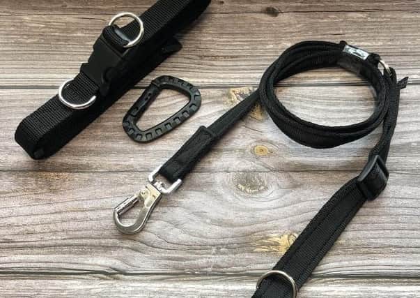 The theft deterrent dog lead and walking belt. EMN-210702-135129001