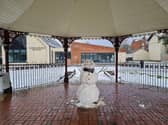 Thank you Emily, Athena and Oliver Hanson for this wonderful picture of the snowman you made in the bandstand in Tower Gardens, Skegness.