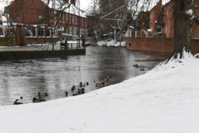 Ducks keep away from the snow. EMN-210802-125832001