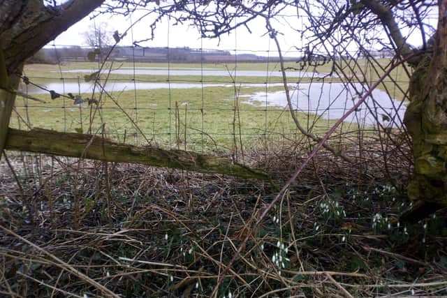 Belchford on Sunday morning as the  River Waring overflowed.