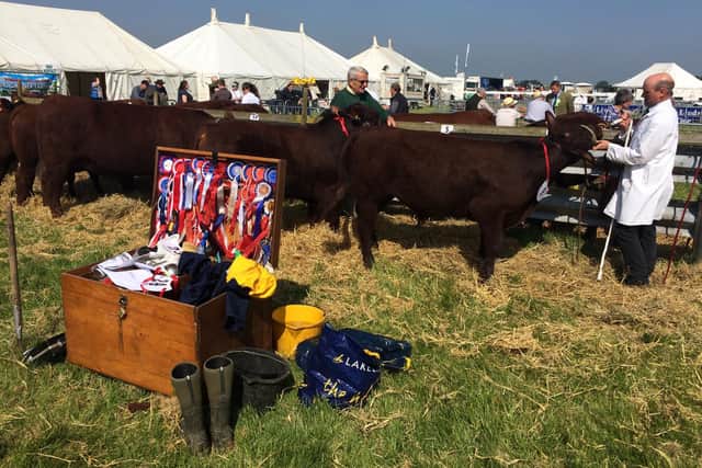 Woodhall Spa Country Show's 2019 event.