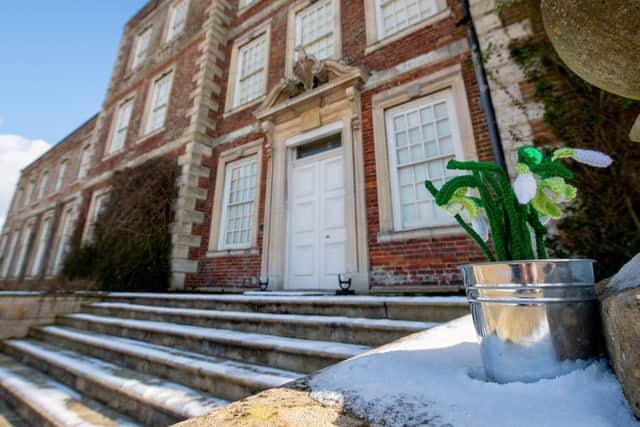 The Snowdrop Trail at Gunby Hall.  Photo: John Aron.