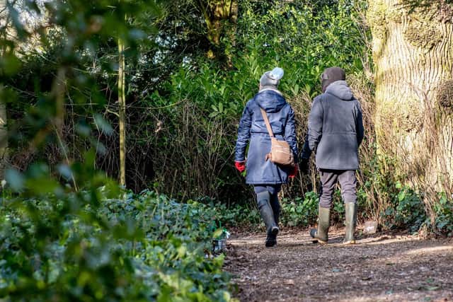 Visitors explore the Snowdrop Trail at Gunby Hall. Photo: John Aron.