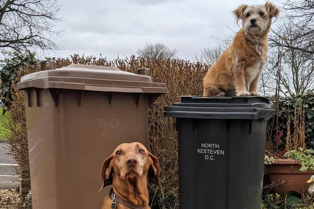 Brown and black bins will be collected as usual this week in North Kesteven. EMN-210222-121159001
