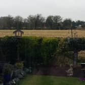 View of the field from a resident's property.