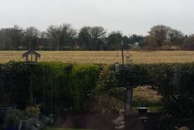 View of the field from a resident's property.