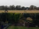 View of the field from a resident's property.