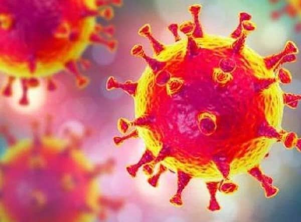 Coronavirus
